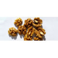 Most popular new crop walnut china origin with competitive price